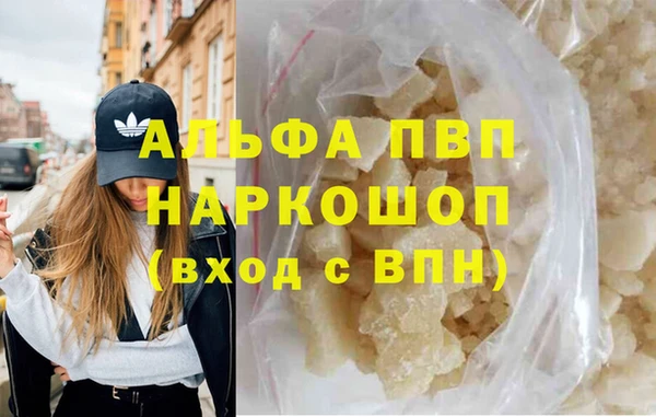 Альфа ПВП Новодвинск