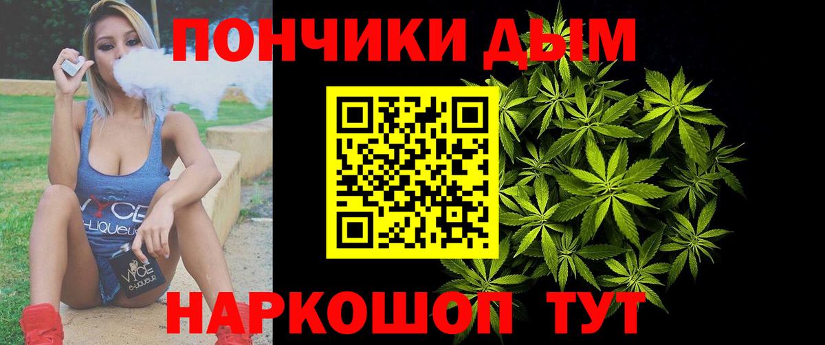 Марихуана планчик  Каннабис сатива  Марихуана сатива  Вход с VPN  Морозовск 